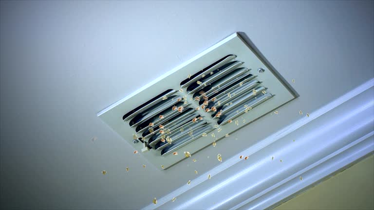 Best Air Duct Cleaning Company Near Me  in Waipio, HI
